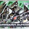 Hobby Bandai | R09 Forbidden Gundamhg Seed